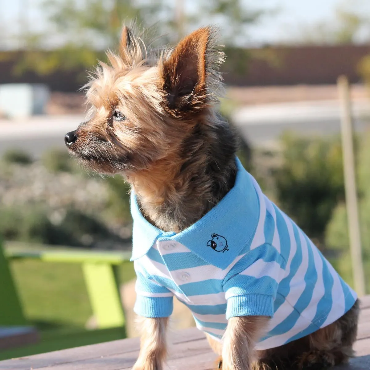 Blue Niagara & White Striped Polo Shirt