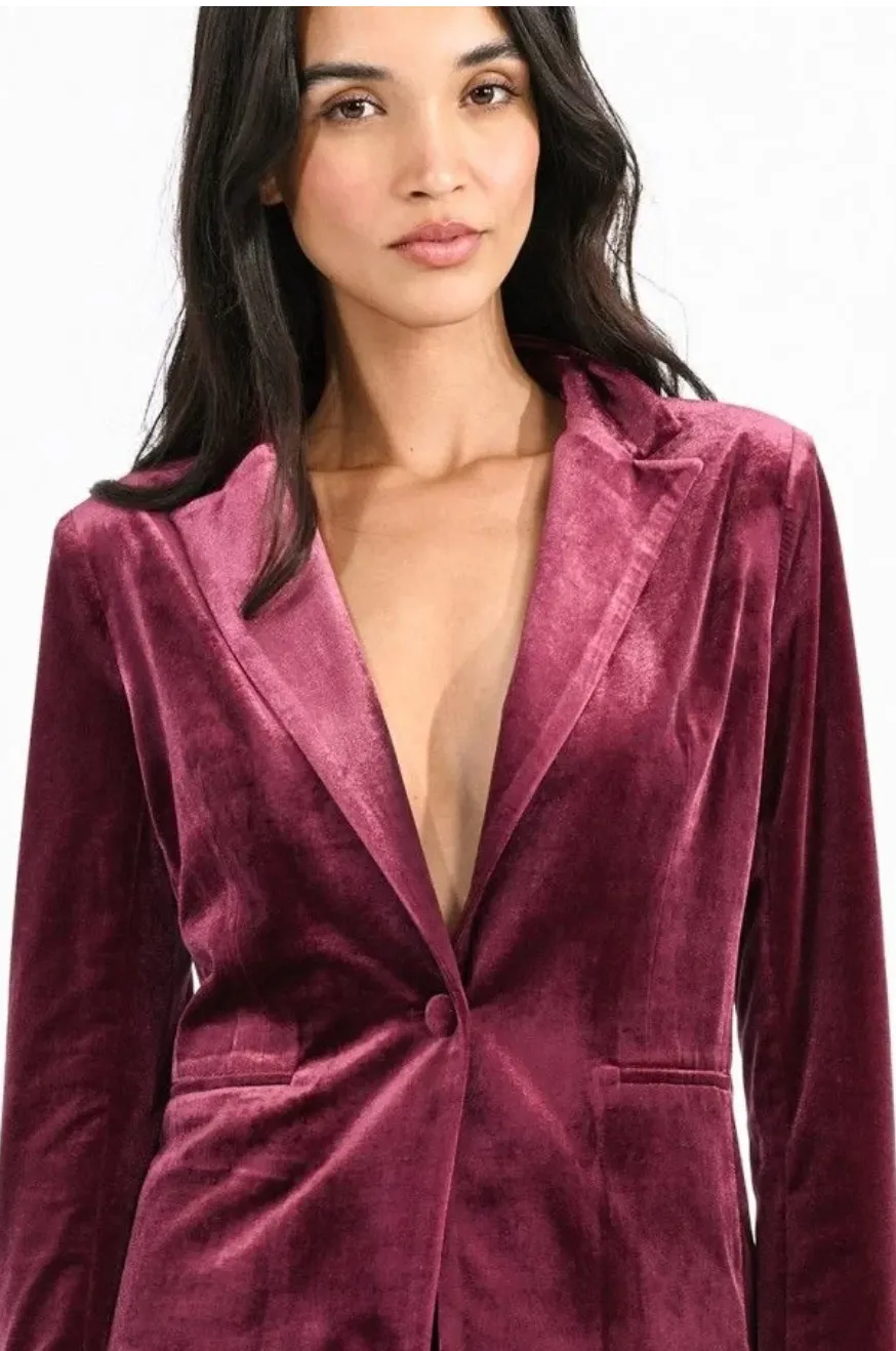 Velvet Blazer
