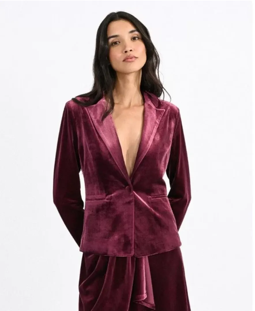 Velvet Blazer